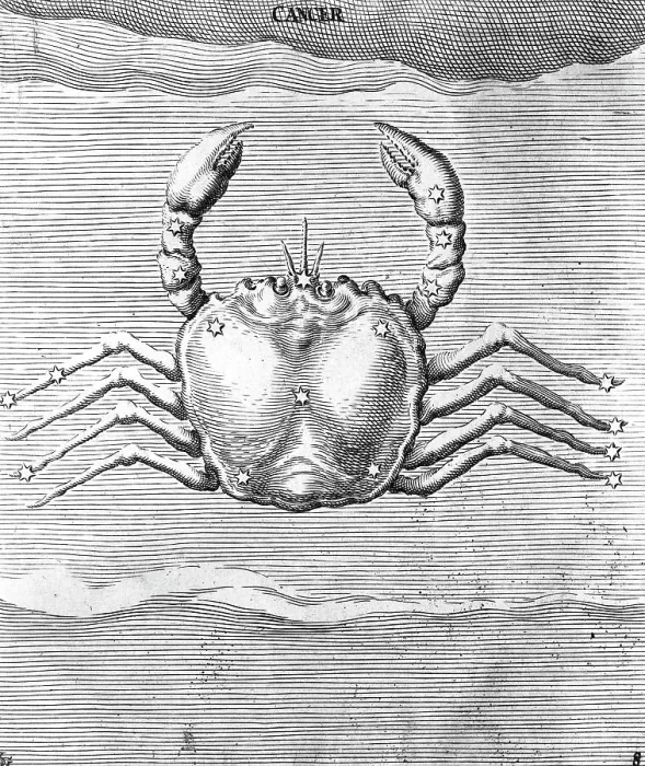 Framed Print : Engraving Of Constellation Cancer Framed Print : Engraving Of Constellation Cancer