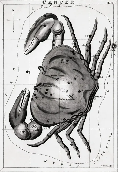 Framed Print : Engraving Of The Constellation Cancer Framed Print : Engraving Of The Constellation Cancer