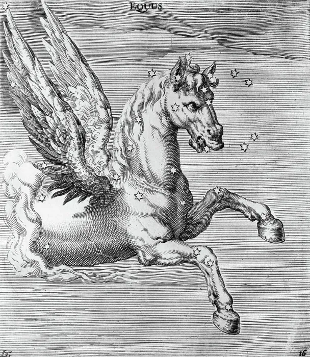 Framed Print : Engraving Of Constellation Equus Framed Print : Engraving Of Constellation Equus