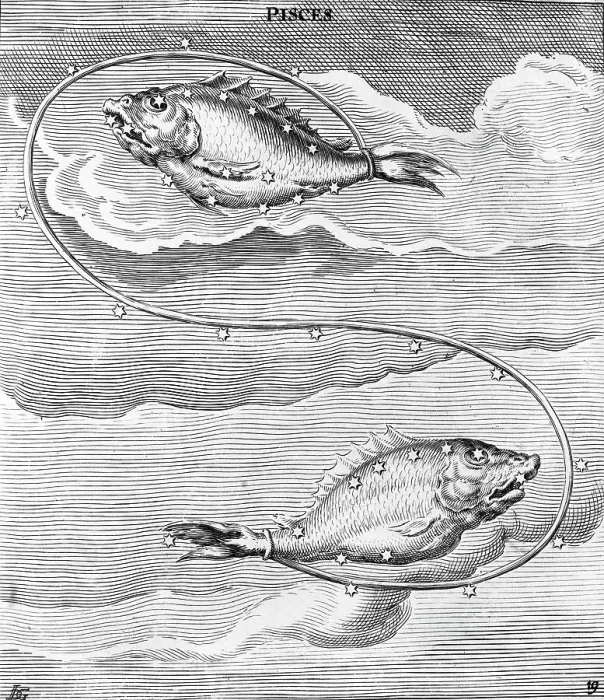 Framed Print : Engraving Of Constellation Pisces