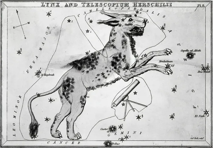 Framed Print : Engraving; Dog Constellation, Telescope Framed Print : Engraving; Dog Constellation, Telescope
