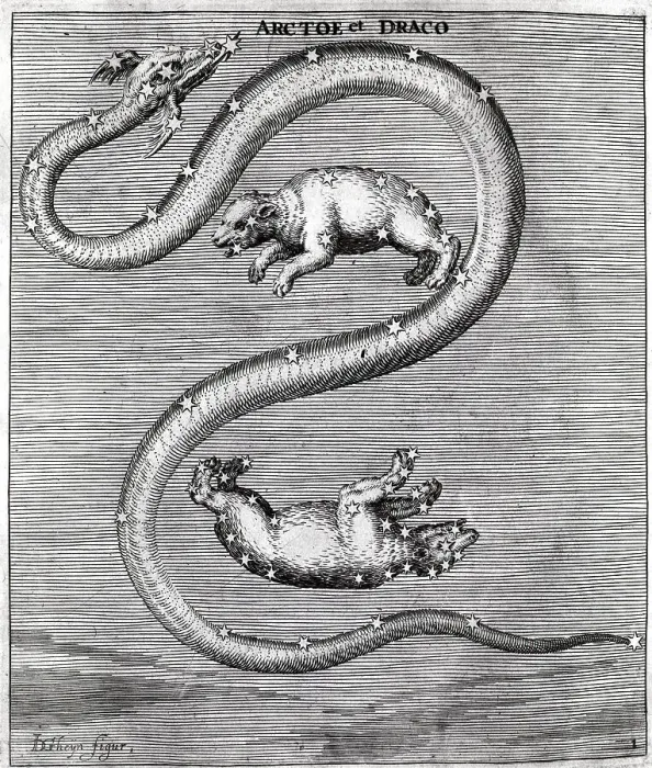 Framed Print : Engraving Draco & Arctoe Constellations