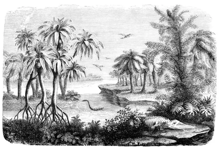 Framed Print : Engraving landscape of Jurassic period with dinosaur Framed Print : Engraving landscape of Jurassic period with dinosaur