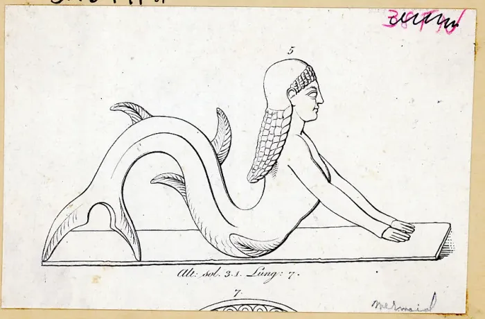Framed Print : Engraving Of A Mermaid Framed Print : Engraving Of A Mermaid