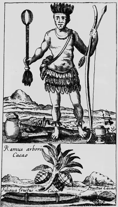 Framed Print : Engraving of New World Native and Cacao Framed Print : Engraving of New World Native and Cacao