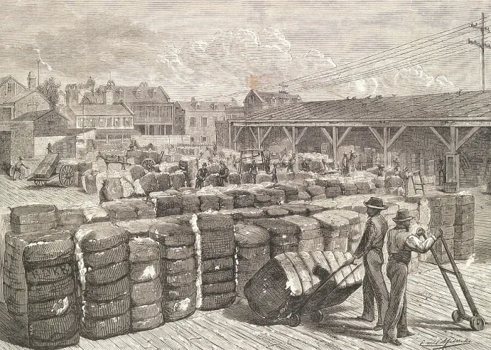 Framed Print : Engraving of Stevedores Loading Cotton Bales Framed Print : Engraving of Stevedores Loading Cotton Bales
