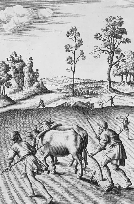 Framed Print : Engraving of Strip Farming by Wenceslaus Hollar