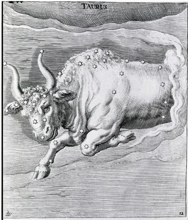 Framed Print : Engraving Of Taurus Framed Print : Engraving Of Taurus