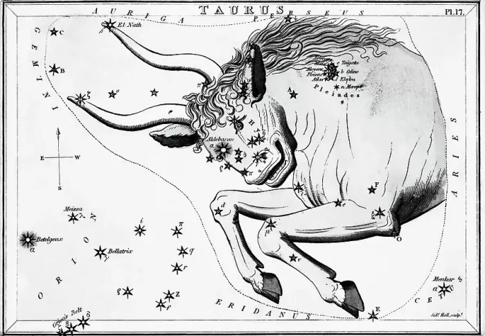 Framed Print : Engraving Of Taurus, Front Half Of Bull Framed Print : Engraving Of Taurus, Front Half Of Bull