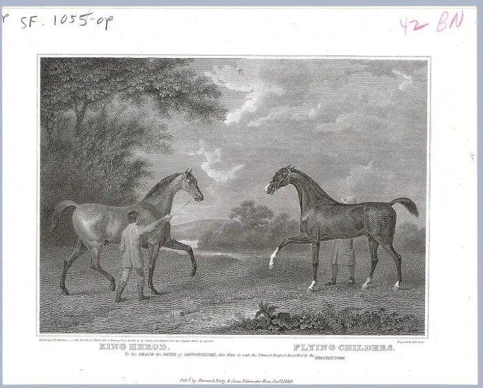 Framed Print : Engraving Of Thoroughbred Racehorses Framed Print : Engraving Of Thoroughbred Racehorses