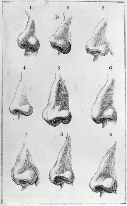 Framed Print : Engravings Depicting Various Noses Framed Print : Engravings Depicting Various Noses