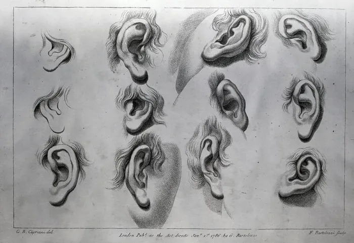 Framed Print : Engravings of Human Ears by Francesco Bartollozi After Giovanni Battista Cipriani