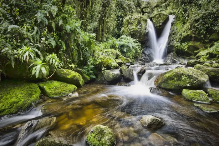Framed Print : Enocks Falls near Sine Hut, montane forest vegetation zone, Kilembe Route, Rwenzori National Park, Kasese District, Uganda Framed Print : Enocks Falls near Sine Hut, montane forest vegetation zone, Kilembe Route, Rwenzori National Park, Kasese District, Uganda