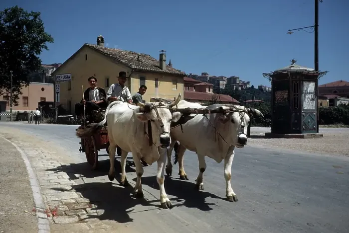 Framed Print : ENROUTE TO PERUGIA FROM ASSISI, ITALY