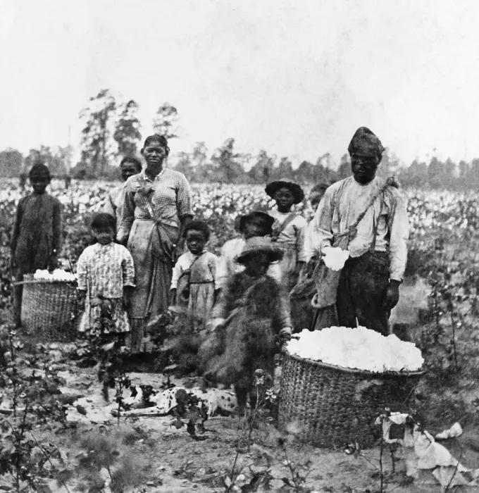 Framed Print : Enslaved Family In Cotton Field near Savannah Framed Print : Enslaved Family In Cotton Field near Savannah