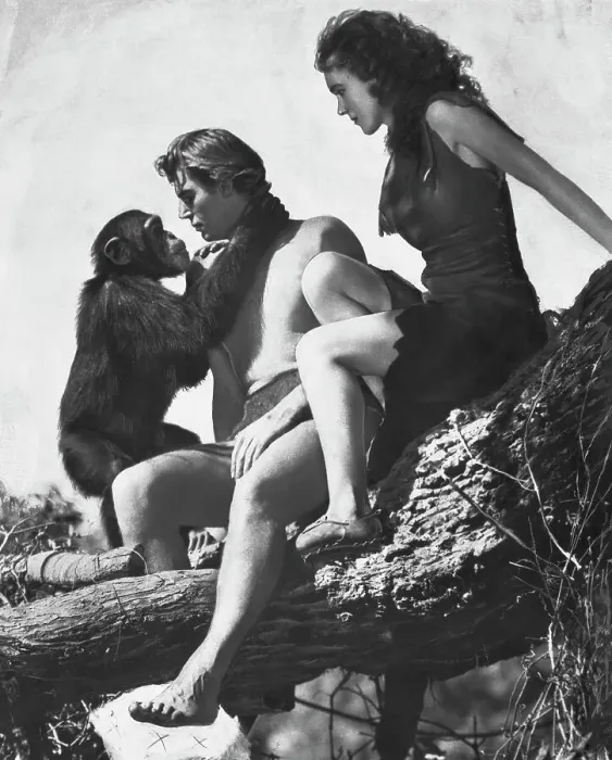 Framed Print : Entertainers of Tarzan in a Tree Framed Print : Entertainers of Tarzan in a Tree