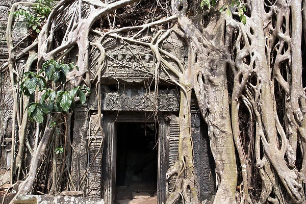The entrance to Ta Prohm Temple