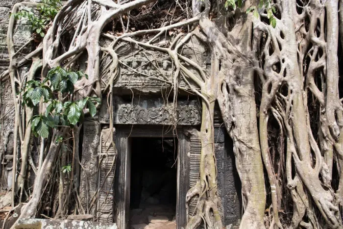 Framed Print : The entrance to Ta Prohm Temple Framed Print : The entrance to Ta Prohm Temple
