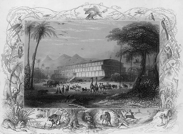 Entry Of Animals Onto The Ark