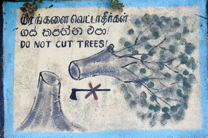 Framed Print : Environmental protection, painted sign, Do not cut trees depicting a felled tree and a crossed-out axe, Nuwara Eliya, Sri Lanka Framed Print : Environmental protection, painted sign, Do not cut trees depicting a felled tree and a crossed-out axe, Nuwara Eliya, Sri Lanka