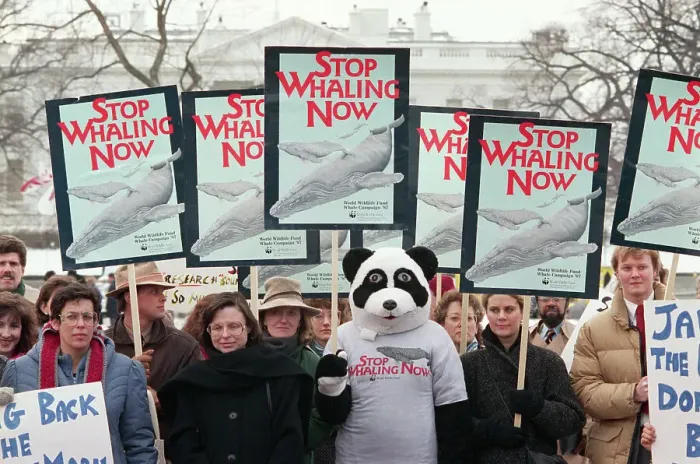 Framed Print : Environmentalists Demonstrate at White House Framed Print : Environmentalists Demonstrate at White House