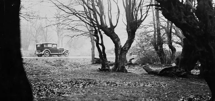 Framed Print : Epping Forest Framed Print : Epping Forest