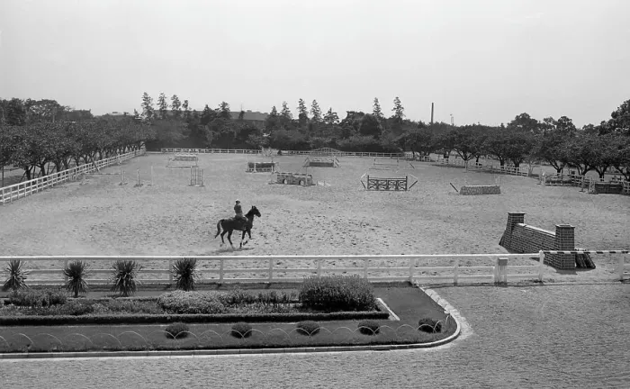 Framed Print : Equestrian Park Framed Print : Equestrian Park
