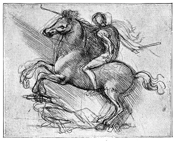 Equestrian Sketch by Leonardo Da Vinci