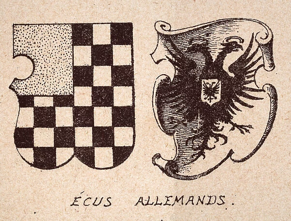 Escutcheon, or heraldic shield, 16th Century German coat of arms, Doubled head eagle, checked pattern