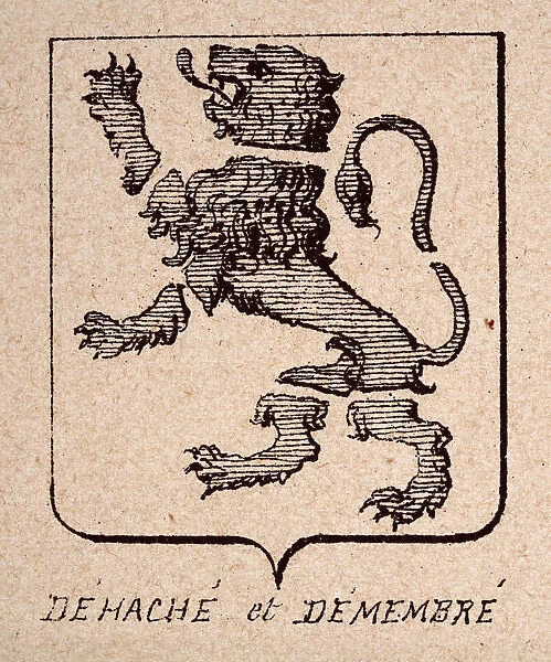 Escutcheon, or heraldic shield, Lions rampant Chopped and dismembered, De hache et demembre, Heraldry