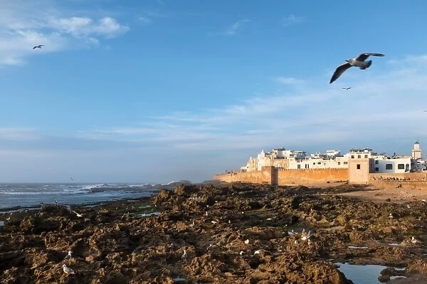 Essaouira, old portuguese ramparts by the sea