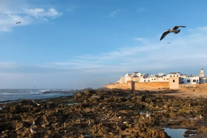 Framed Print : Essaouira, old portuguese ramparts by the sea