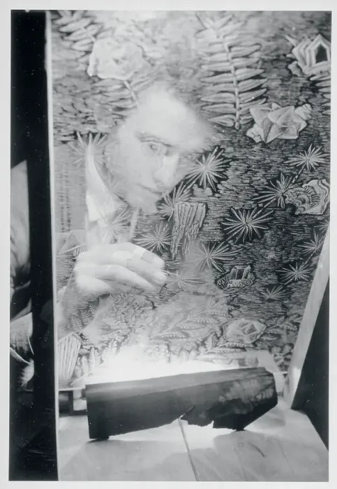 Framed Print : Etched Glass Display Framed Print : Etched Glass Display
