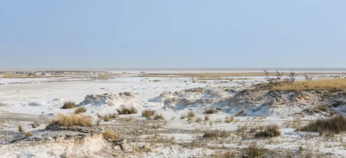 Framed Print : Etosha Pan, Etosha National Park, Namibia Framed Print : Etosha Pan, Etosha National Park, Namibia