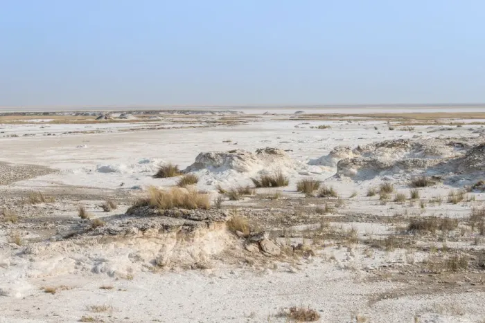 Framed Print : Etosha salt pan, Etosha National Park, Namibia