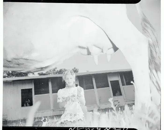 Framed Print : Eva Gabor Breaking Eggs Framed Print : Eva Gabor Breaking Eggs