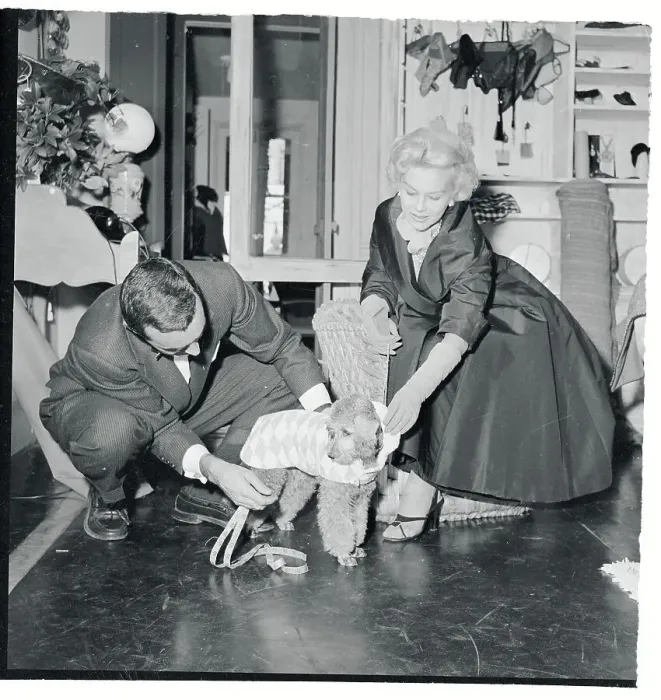 Framed Print : Eva Gabor and Her Dog in Canine Couturier Framed Print : Eva Gabor and Her Dog in Canine Couturier