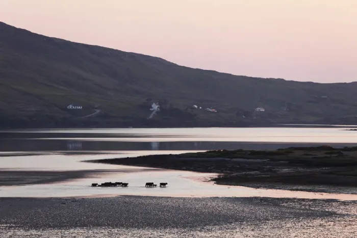 Framed Print : Evening bay with Skyroads, Connemara, County Galway, Republic of Ireland, Europe