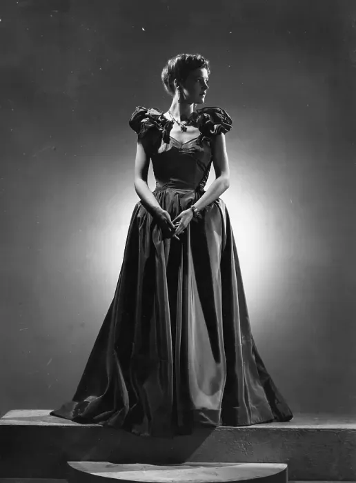 Framed Print : Evening Gown Framed Print : Evening Gown