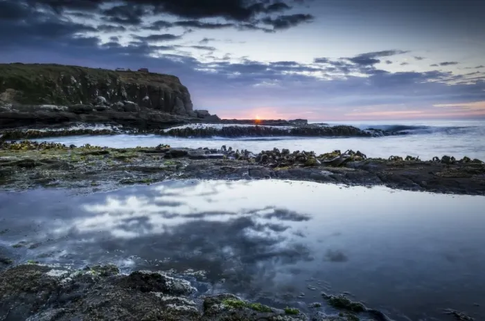 Framed Print : Evening mood at the sea, seaweed, rocky coast, Curio Bay, The Catlins, South Island, New Zealand Framed Print : Evening mood at the sea, seaweed, rocky coast, Curio Bay, The Catlins, South Island, New Zealand