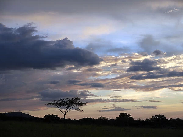 Evening sky at dusk in the Ricon de la Vieja National Park, Guanacaste, Costa Rica, Central America