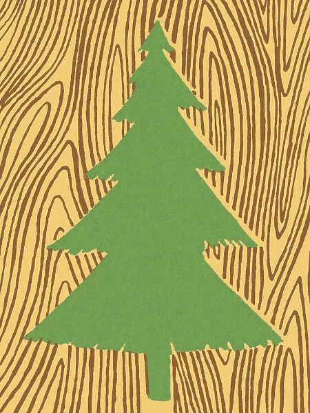 Evergreen Tree on Woodgrain Background