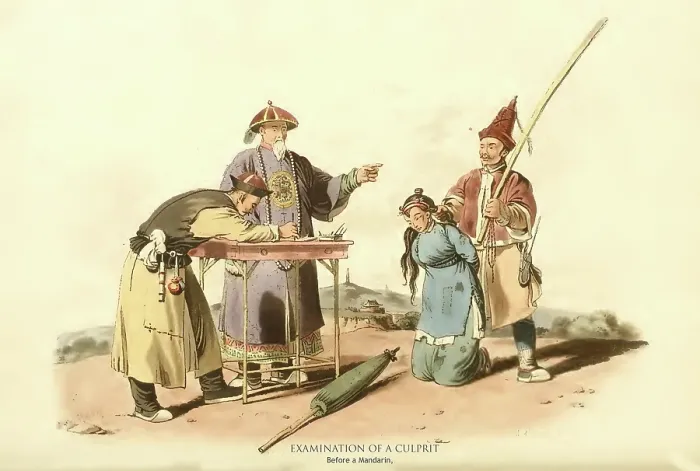 Framed Print : Examination of a Culprit