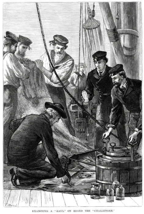 Framed Print : Examining a haul on HMS Challenger