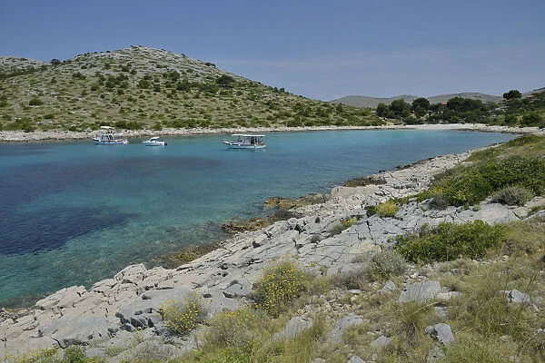Excursion boats in Lojena Bay, Levrnaka Island, Kornati islands, Kornati National Park, Adriatic, Croatia