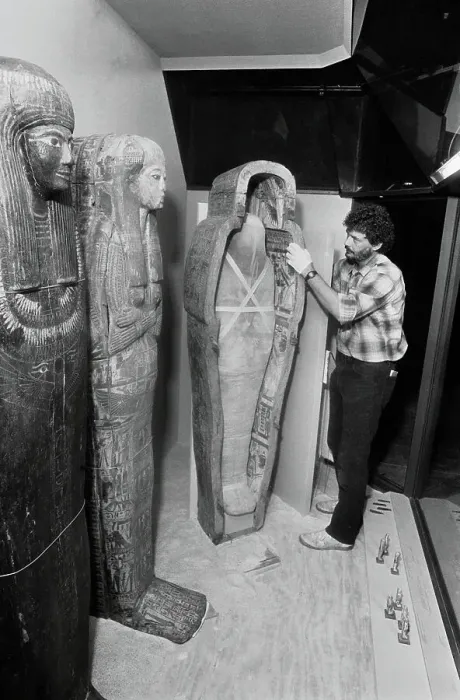 Framed Print : Exhibit Installer Cautiously Adjusting Mummies Framed Print : Exhibit Installer Cautiously Adjusting Mummies
