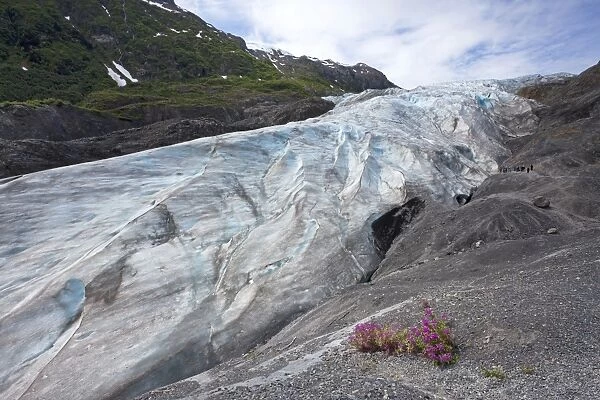 Exit Glacier belongs to the Kenai Mountains and is fed by the Harding Icefield, Kenai Peninsula, Alaska, USA