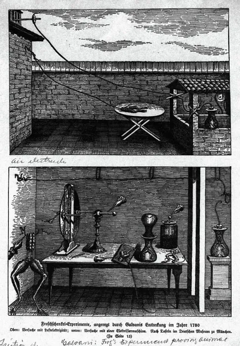 Framed Print : Experiment Showing Animal Magnetism Framed Print : Experiment Showing Animal Magnetism