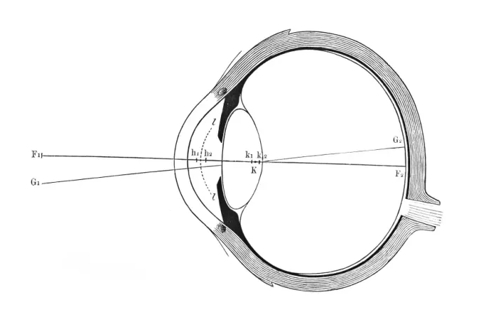 Framed Print : Eye, schematic representation Framed Print : Eye, schematic representation