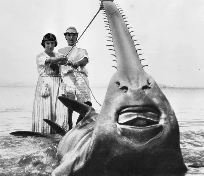 Framed Print : F. A. Mitchell Hedges Holding Sawfish Framed Print : F. A. Mitchell Hedges Holding Sawfish